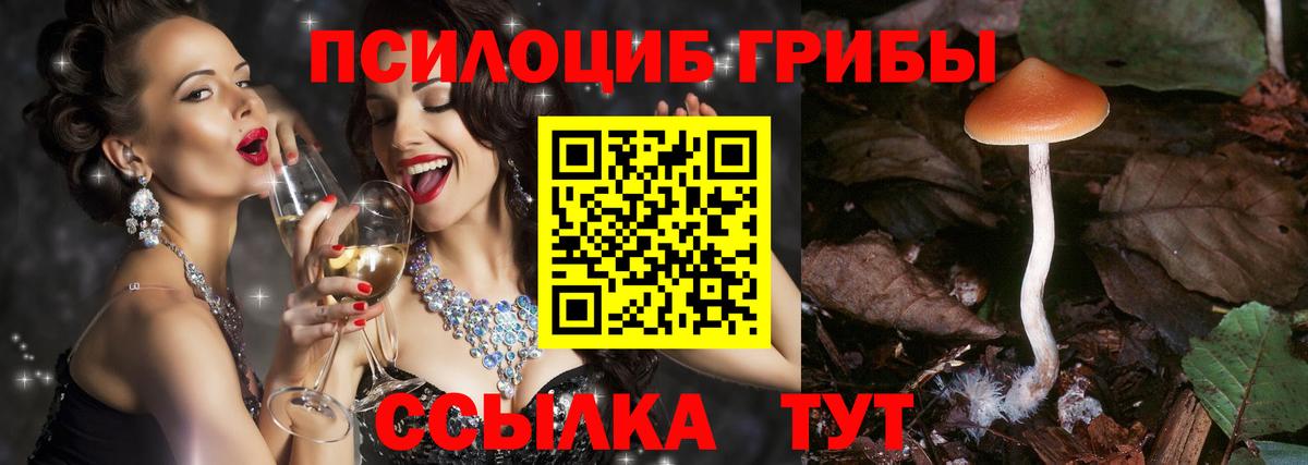 Рязань  Галлюциногенные грибы Psilocybe  Вход с VPN  Галлюциногенные грибы Psilocybine cubensis 
